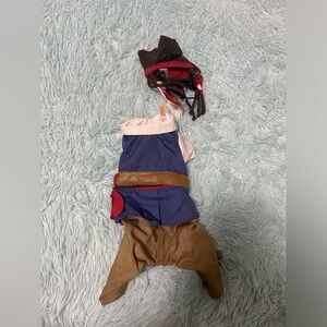 Pirates of the Caribbean dog costume